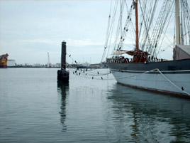 Mary Blackshire has some photos of Galveston and discusses the recent evacuation of the city due to Hurricane Ike. Click photo for more about Galveston and its history.