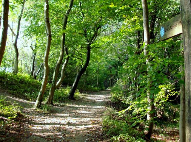 Isabel Kendrick has some beautiful photos from the South Downs Way in England - a tonic for the bad weekend weather! Click photo for more.