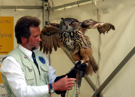 A gallery of photos from the live birds of prey demonstration at Feile na Tuaithe May 2008. Click on photo for more.