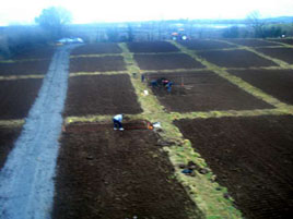 In the current economic climate growing your own veg is an increasingly attractive option. Click on photo for the details of the new allotments at Balloor, Castlebar.