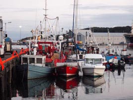 Some photos from the quayside in Killybegs. Click on photo for more.