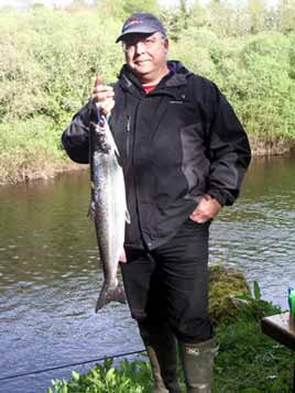 The River Moy fished well last week. Alan Brown from the UK is shown here with 3.1 kg Moy salmon. Click on photo for the latest local angling news.