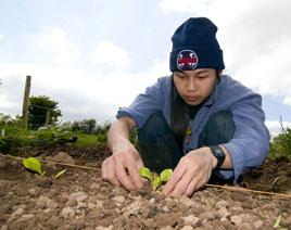 Alison Laredo has photo of members of the Karen Community living in Castlebar growing vegetables on a local allotment. Click photo for more.