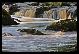 Darren Moran has extended his excellent photo gallery with lots more photographs showing the true beauty of Mayo. Click on photo and explore the wilds of Mayo.