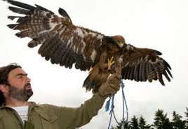 Photos from the Claremorris Agricultural Show from Alison Laredo. Click on photo for lots more.