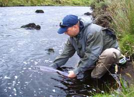 Releasing a salmon back to the Owenmore River. Click on photo for all the latest angling news.