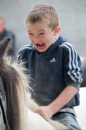 Alison Laredo has a wonderful gallery of photos taken at the recent Westport Horse Fair. Click on photo for lots more colour, action and portraits.