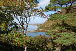 Sean Smyth went down to the woods - in Mulranny. Click for more from this new Gallery.