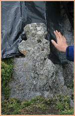   	

Mayo Historical and Archaeological Society have an article on a Latin Cross discovery by Michael Gibbons on Skellig Michael. Click photo for more.