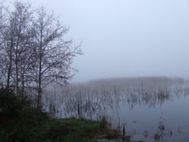 Daniel has some seasonal photos from the Foxford area. Click on photo for more November 2009 Weather!