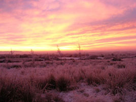 Sunrise over a frosty Christmas morning in Castlebar. Click on photo for more from Bernard Kennedy's growing gallery of mainly local photos.