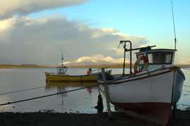 Alison Laredo has a beautiful series of photos taken around Mayo during the past month. Click above for more December days.