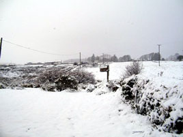 Tommy Regan uploaded some snowy photos taken just before Christmas. Click on photo for more.