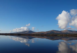 Kevin McNally has uploaded some winter sunshine to the castlebar.ie photo gallery. Click on photo for some closeups.