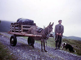 Photo of Willie Morrison formally of Burren taken in 1991 - now sadly passed on. Click on photo for enlargement from Bernard Wright.