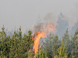 Photos of the weekend's gorse fires on the Pontoon Road from Darren Moran. Click on photo for more.