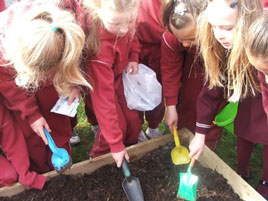 St. Angela's girls are taking advantage of the spring weather planting vegetables and exploring the importance of biodiversity. Click photo for more.