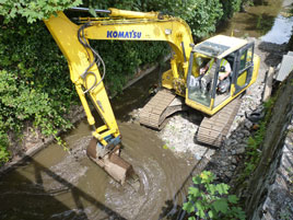 Spotted in the river - Jack Loftus has photos from Castlebar River. Click on photo for more.