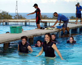 Dalemedia has photos of a group of holidaymakers from Castlebar swimming with dolphins in Malta. Click on photo for more.