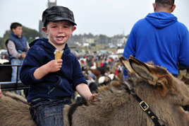 Alison Laredo has a great gallery of photos from the Ballinasloe October Fair. Click on photo for more.