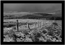 Darren Moran has some snowy scenes from Mayo yesterday. Click to view new uploads to our DIY Photo Gallery