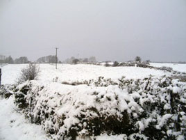 The Age of Shivery - Tommy Regan has some snowy photos. Click on photo for more from his gallery.