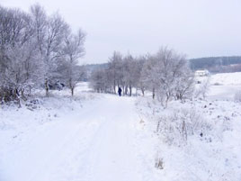 Bernard Kennedy has some snowy photos taken in Castlebar on Christmas Eve. Click on photo to scroll through his gallery.