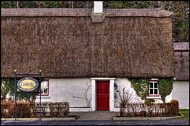 A gallery of photos from the grounds of beautiful Ashford Castle, Cong, Co. Mayo. Click on photo to tour the grounds.