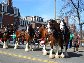 Frank Cawley has his usual, witty report - this time St Patrick's Day from Boston MA! Click to view and read his account.