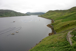 Walk along the Killary Famine Trail in aid of VITA tackling modern day famine in Africa.