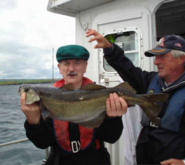 Check out what Gerry Tolster caught in Killala Bay. Click on photo for last week's angling news.