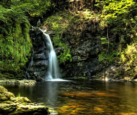 A magical view of the waterfall at Tourmakeady. Click on photo for more from Robert J.