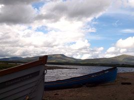 Kevin McNally has some more interesting odds and sods photos from the shores of Lough Beltra and beyond. Click above for more.