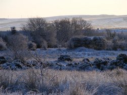 Bernard Kennedy has added some chilly winter photos to his ever-expanding photo gallery. Click on photo to browse this excellent collection of photos.