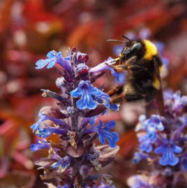 Summer Time - Kevin McNally captures that Summer feeling. Click on photo for a bit of a buzz.