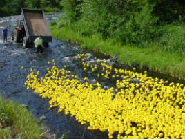 Turlough Community group are holding their famous Duck Race again this year on June 17th. Click above to get a flavour of previous events.