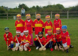 Castlebar U8 Hurling Team in Ballyvary recently. Click on photo for all the latest hurling news from Tony Stakelum.