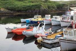 Tranquil quayside photos from Donegal submitted via our contributor login. Click on photo to view gallery.