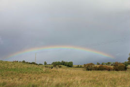 A rainbow between the showers. Click on photo to find the gold at the end.