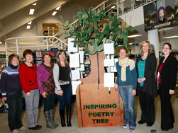 Come and see the poetry tree in the Castlebar Library. Click on photo for details from Joy Heverin.