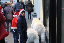 A busy shopping Saturday afternoon in downtown Reykjavik. Click on photo to view more.