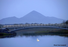 The Parish Magazine has Tom Campbell's photo of the new Lough Lannagh Bridge - a feature of 2012. Click on photo for more.