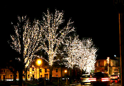 The lights on the Mall trees are beautiful - some photos taken on 24 December 2012 - Christmas Eve. Click above for more.