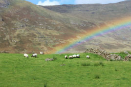 On a dreary wet day in Castlebar it's nice to be reminded of the beauty of Connemara in summer.