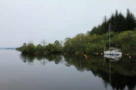 The forecast is fine - a nice day for a stroll along a lake shore - we check out the pier at Lisloughrey Cong. Click above to view.