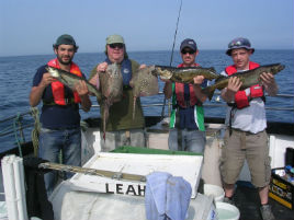 The conditions are ideal for sea angling. Click on photo for the latest catch reports.