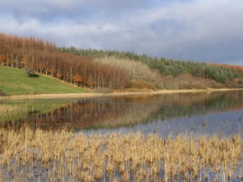 Bernard Kennedy has photos of Rusheen Lough taken on 30 Nov 2013. Click on photo to scroll through his latest additions.