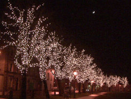 The last of the Christmas Lights - Jack Loftus has photos of the great displays around town this Christmas gone by. click on photo to view.