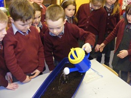 Pupils at Breaffy National School have planted their bulbs and seeds. Click on photo for more.