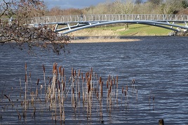 A brisk walk around Lough Lannagh yesterday. Click on photo for more.